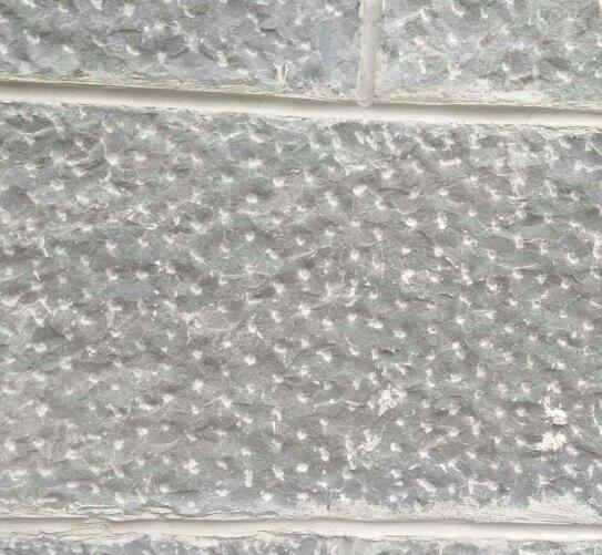 1686126782223217.jpg